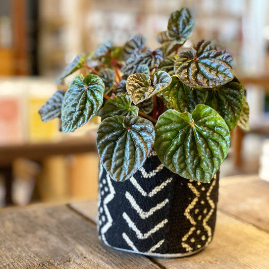 Plant Pouch, Mud Cloth in Charcoal