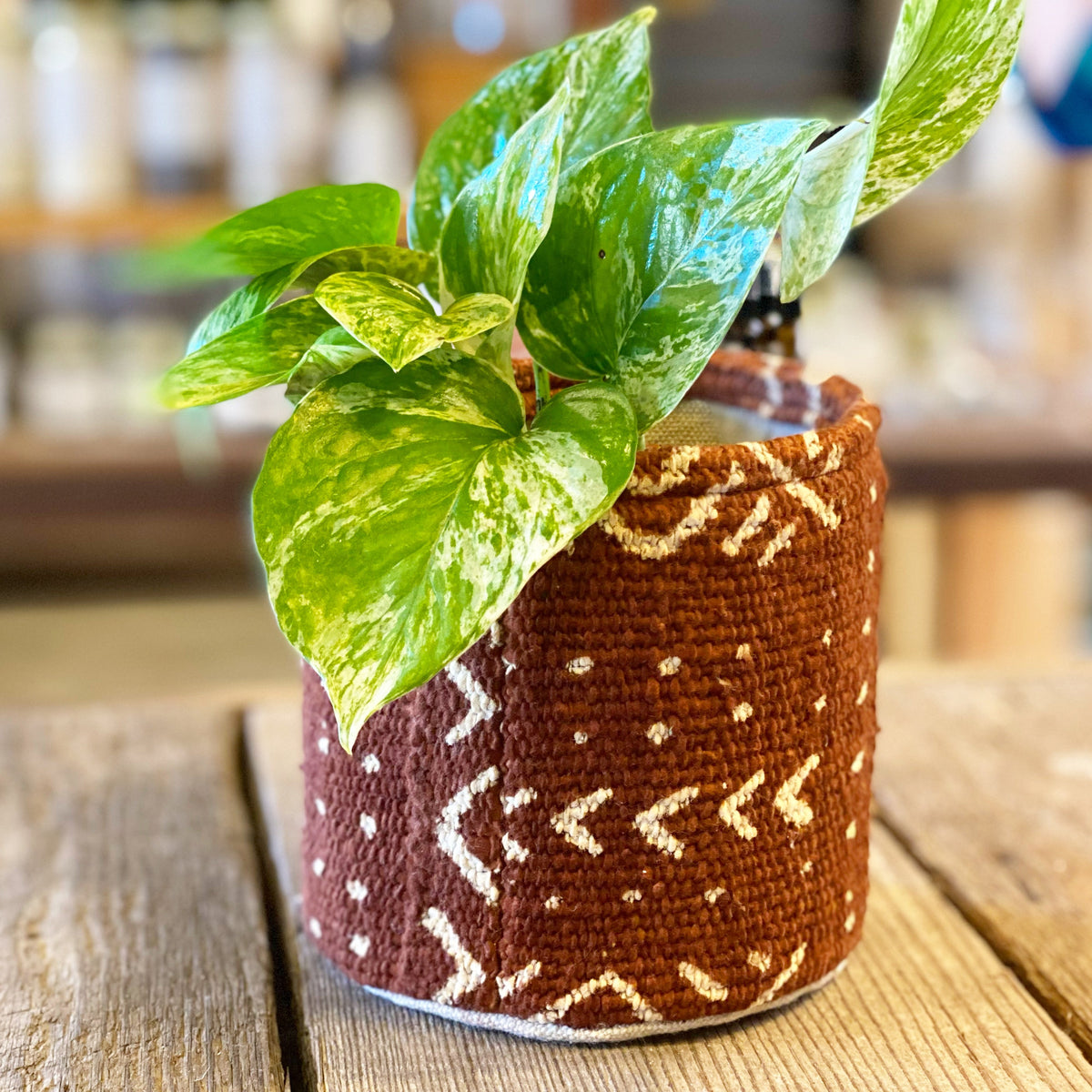 Plant Pouch, Mud Cloth in Sepia