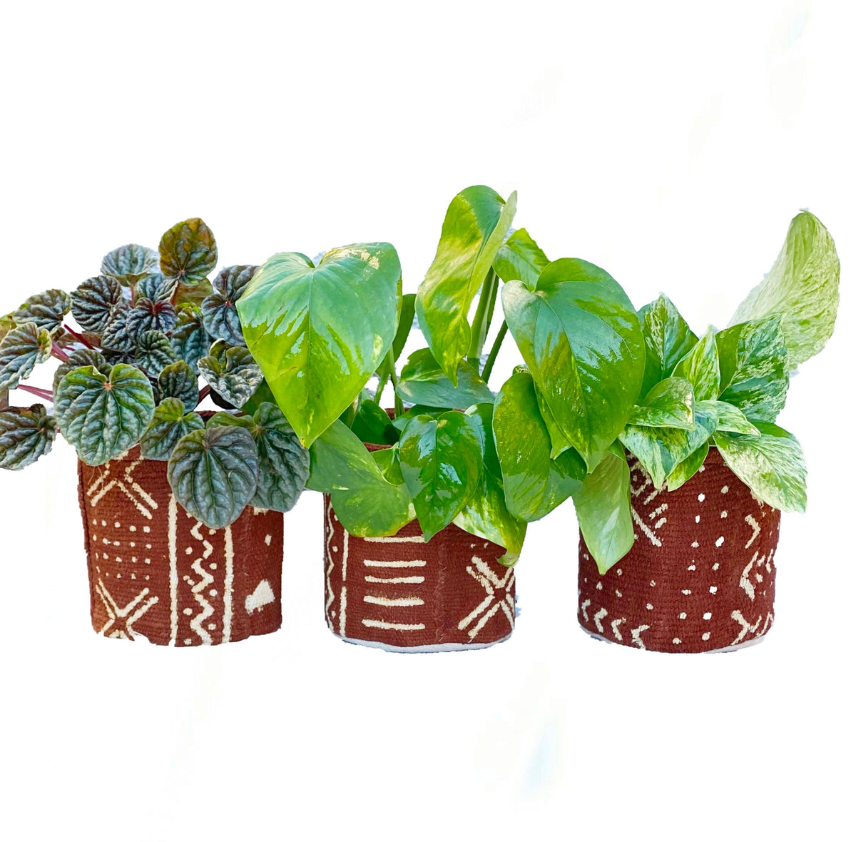 Plant Pouch, Mud Cloth in Sepia